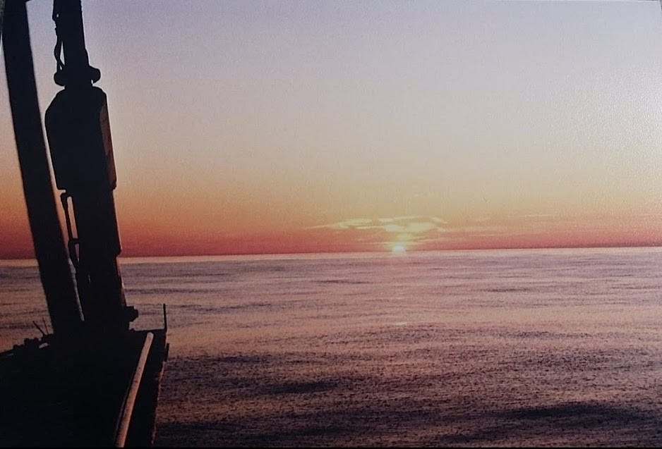 Beyond the Spectacle: The Future of French Delphinariums Post-2027